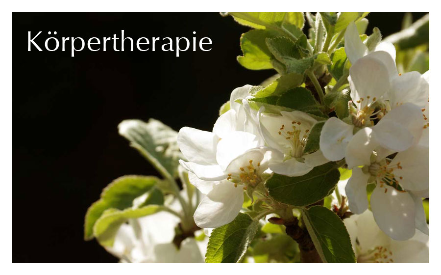 Körpertherapie