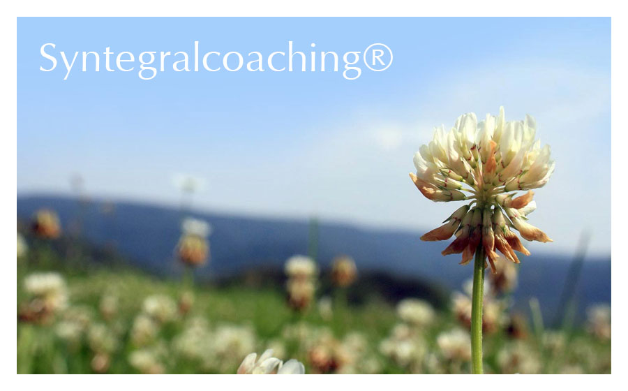 Syntegralcoaching